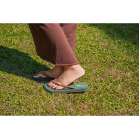 Wide – Green Green Brown